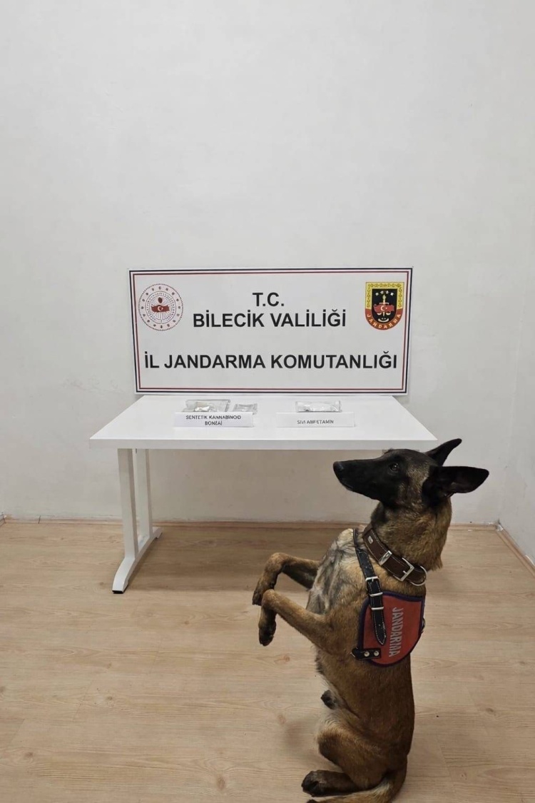 A R A C T A S E N T E T I K M A D D E B U L U N D U 7908