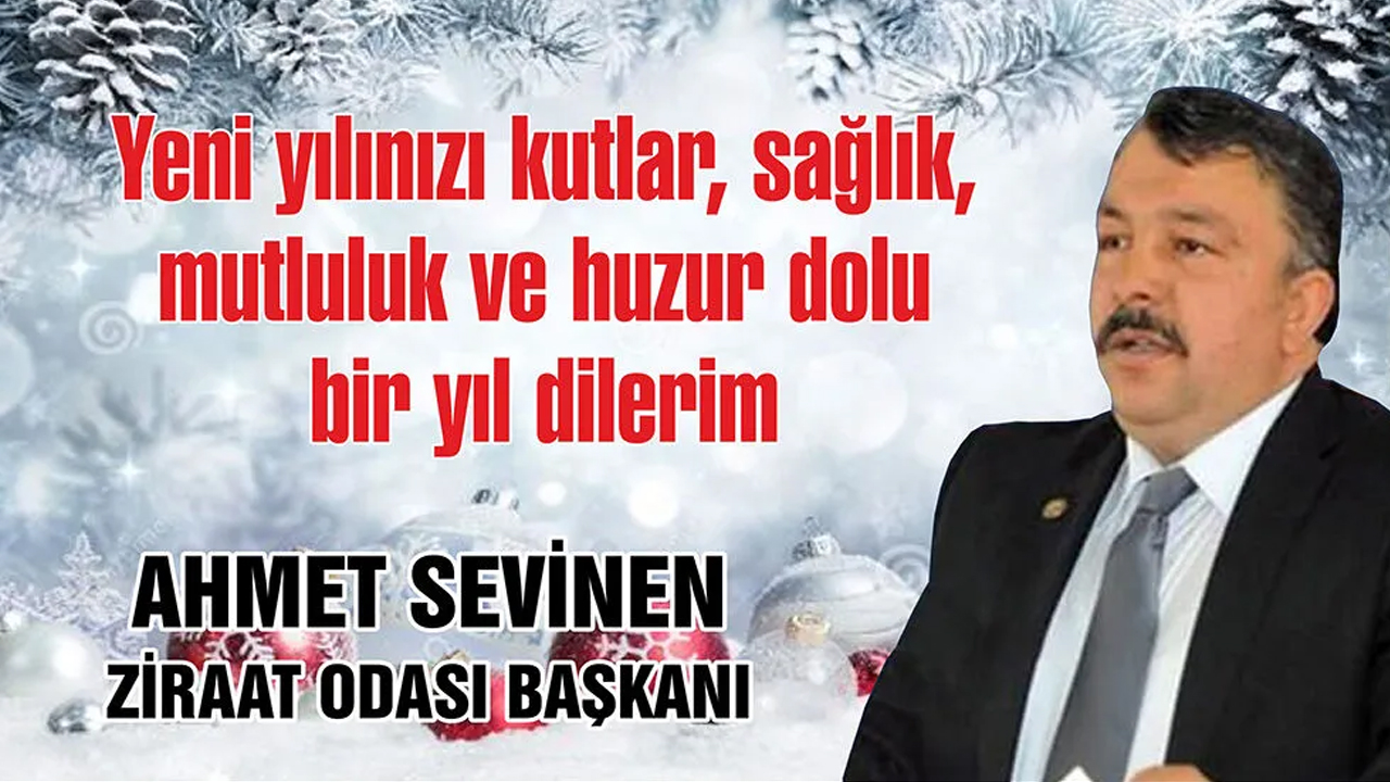 Ahmet Sevi̇nen-4