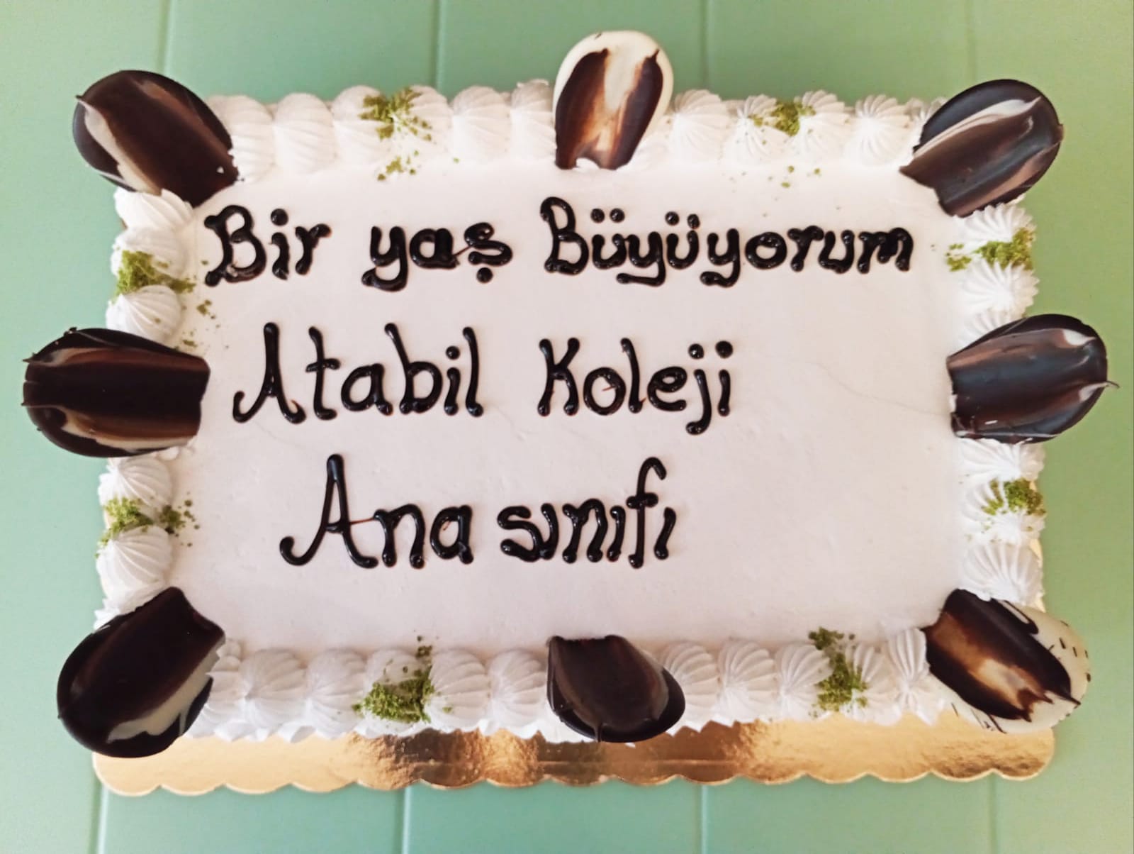 Atabil Koleji’nde Miniklerden “Bir Yaş Büyüyorum” Coşkusu 8326