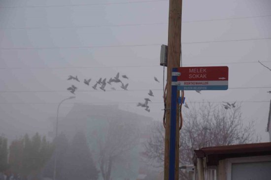 B I L E C I K T E C A D D E V E S O K A K T A B E L A L A R I Y E N I L E N I Y O R 7980