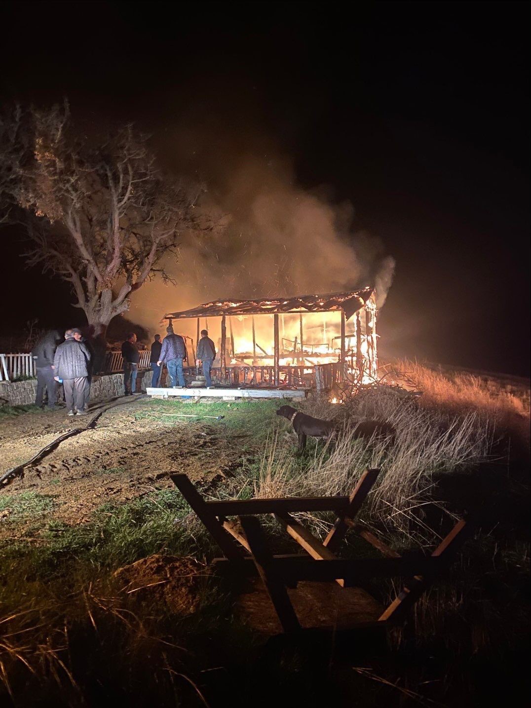 Benzinle Mangal Yakmak Isteyince 6941