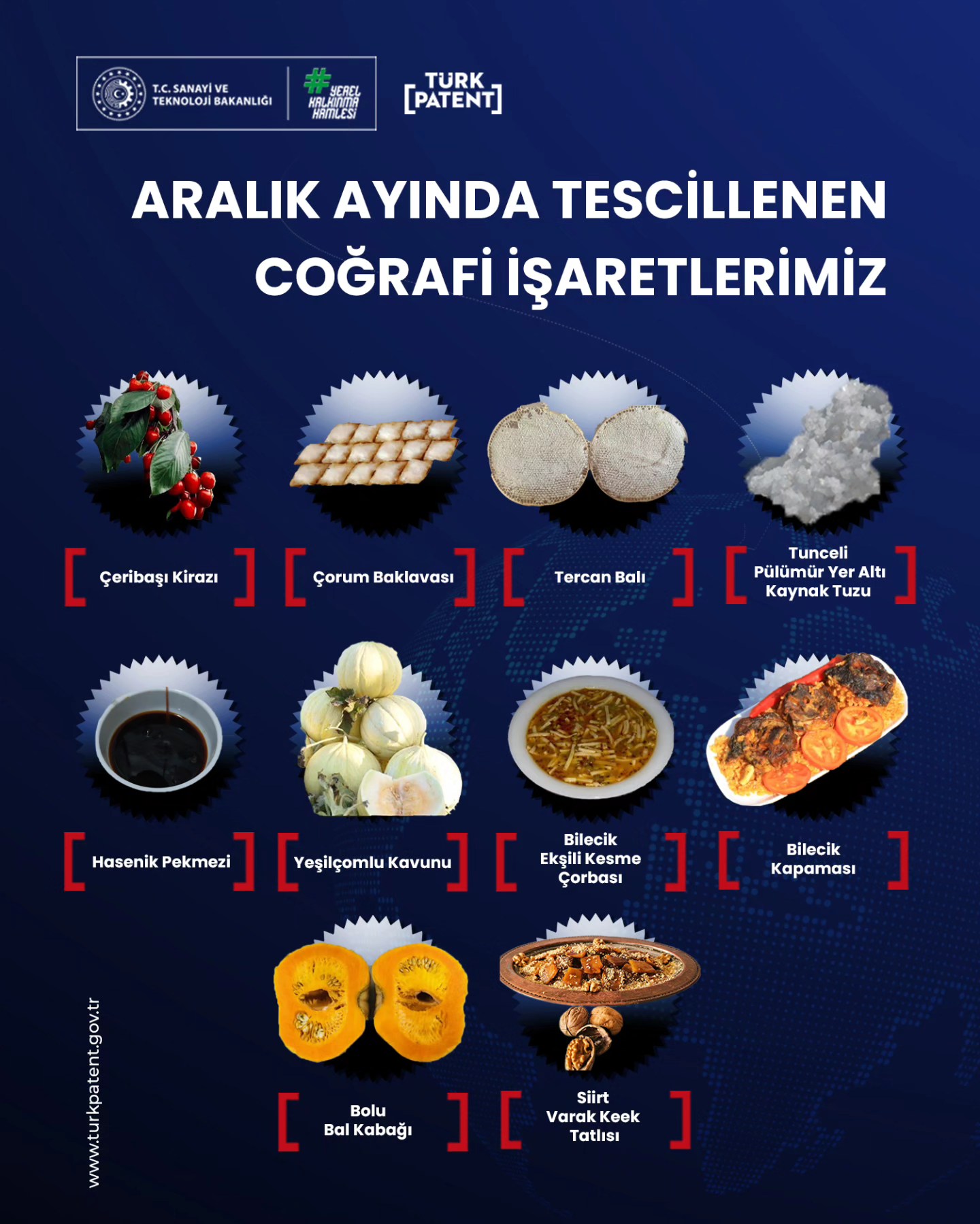 Bilecikin Aralık Gururu 8114