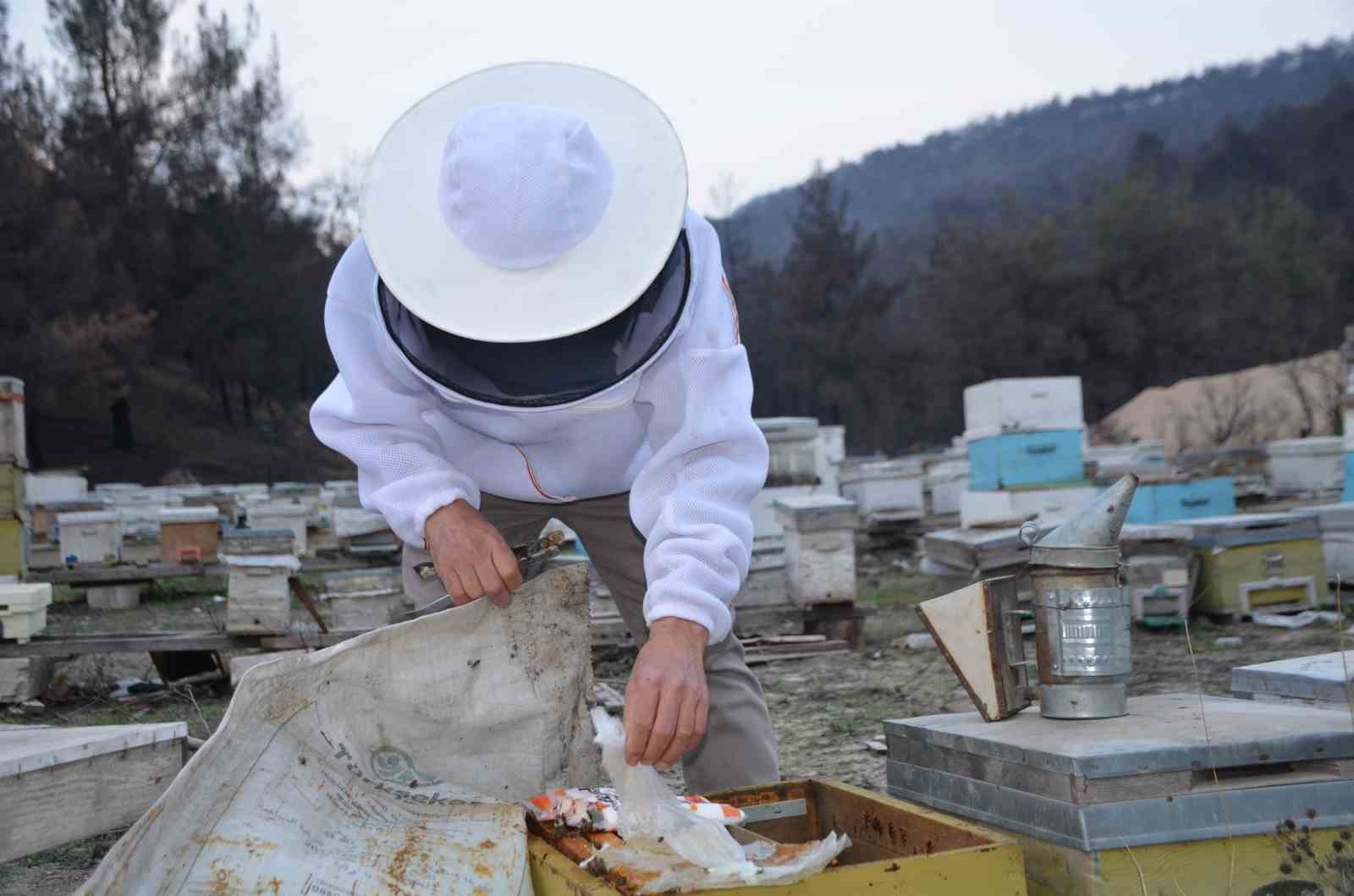 Bilecikli Arı Üreticisinin Büyük Başarısı 7047