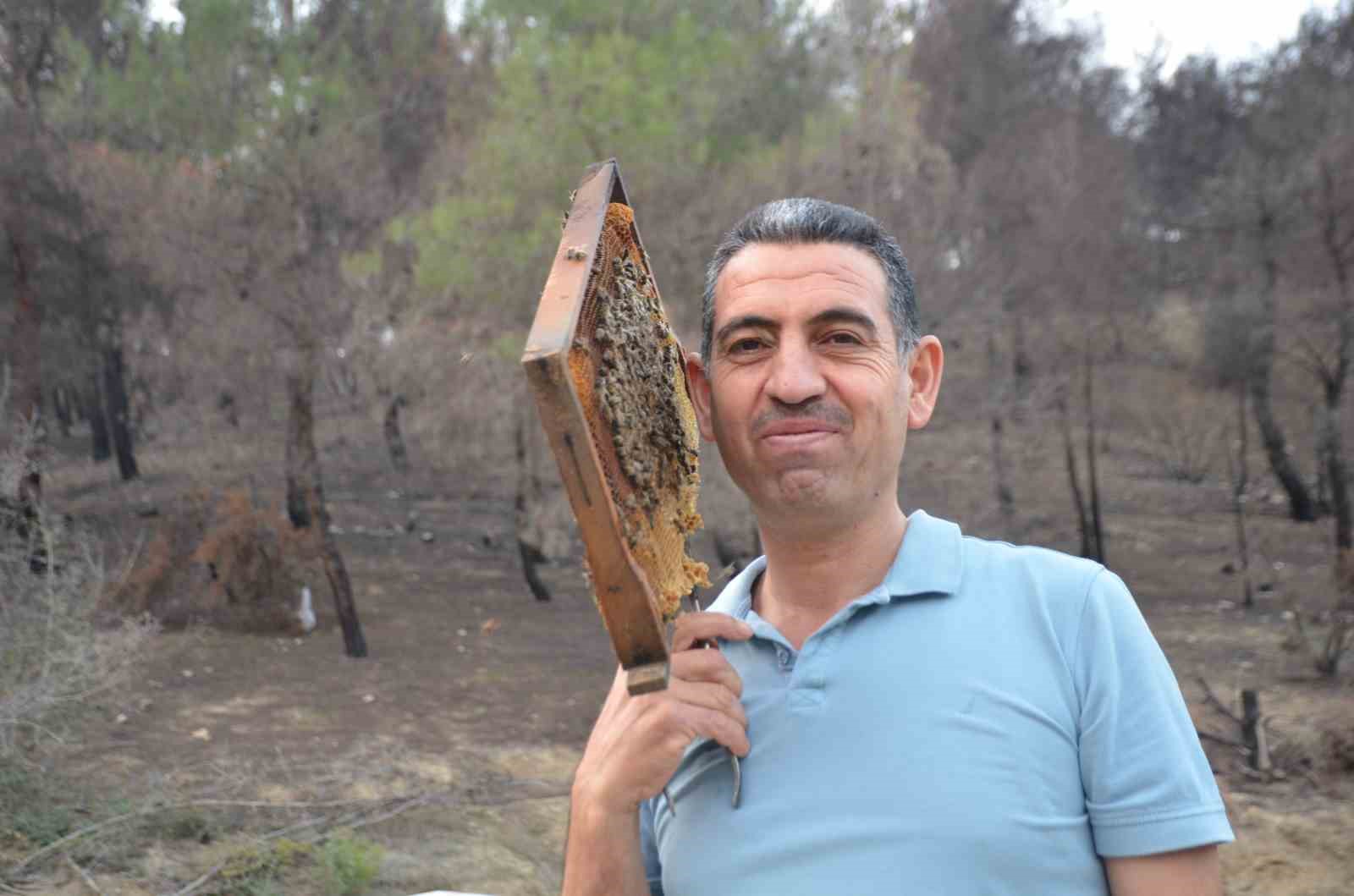 Bilecikli Arı Üreticisinin Büyük Başarısı 7049