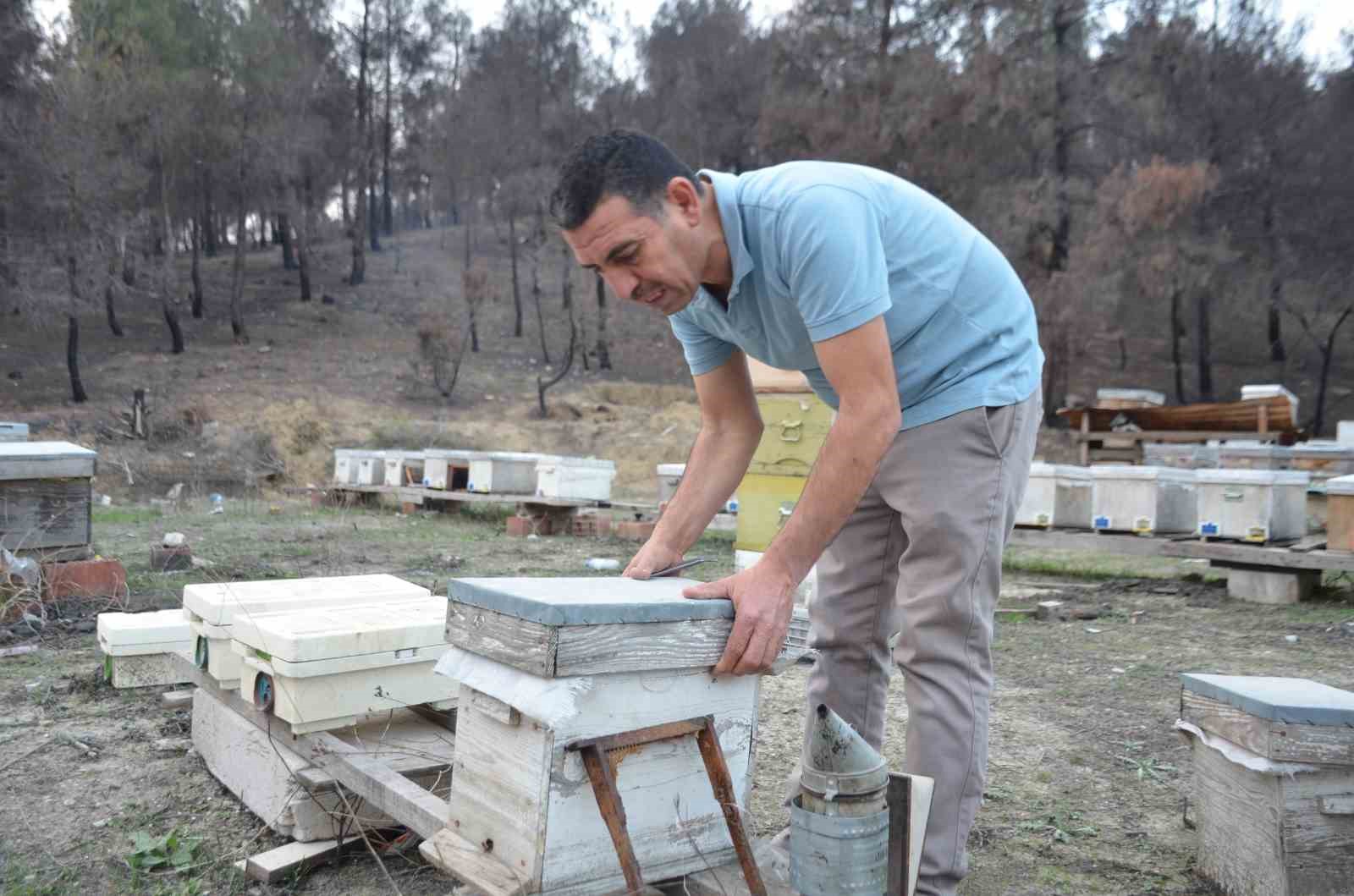 Bilecikli Arı Üreticisinin Büyük Başarısı 7050