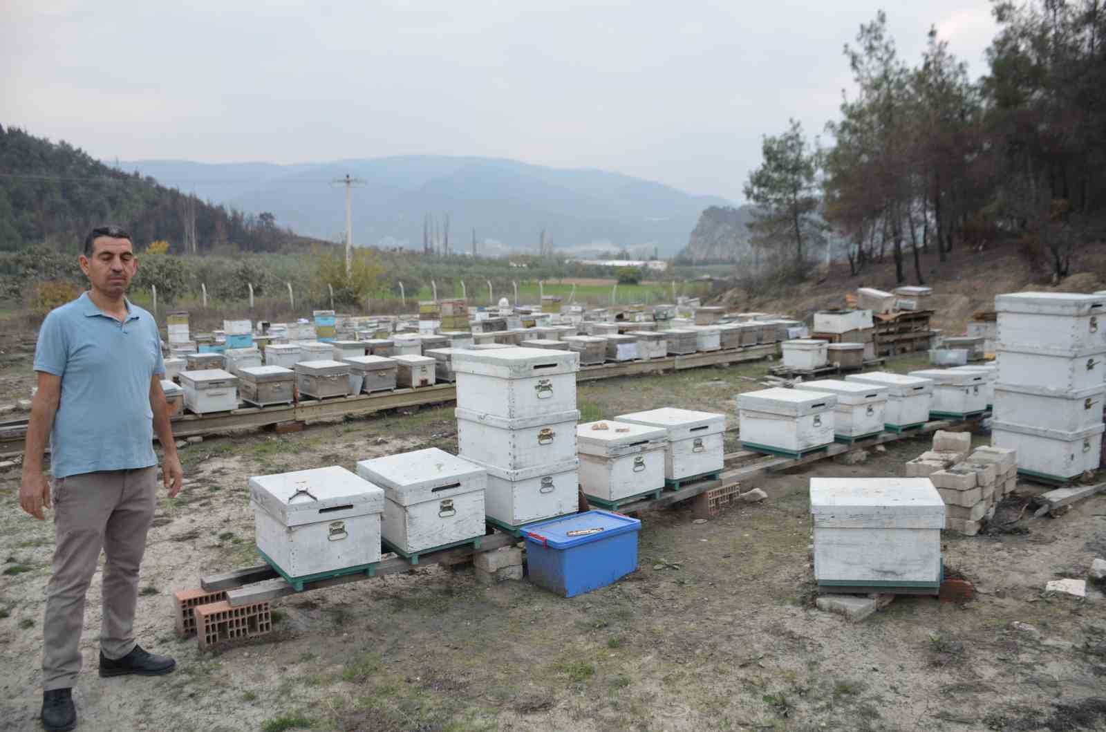 Bilecikli Arı Üreticisinin Büyük Başarısı 7051