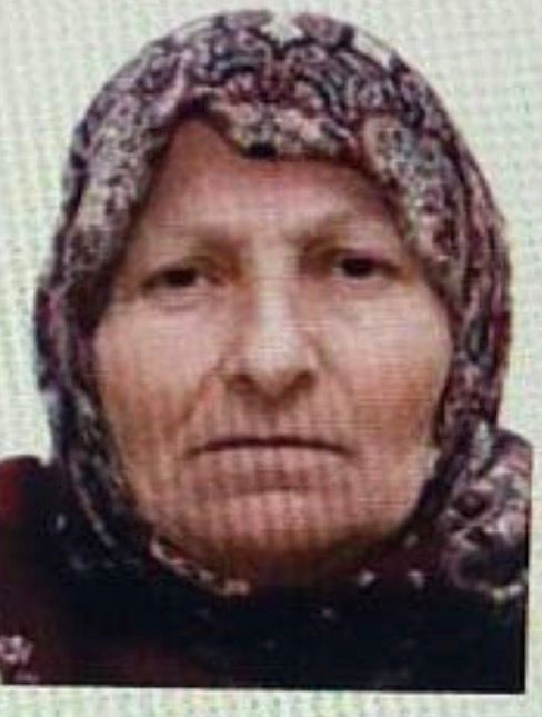 Bilecik’te Kaybolan Yaşlı Kadını Jandarma Buldu 7183
