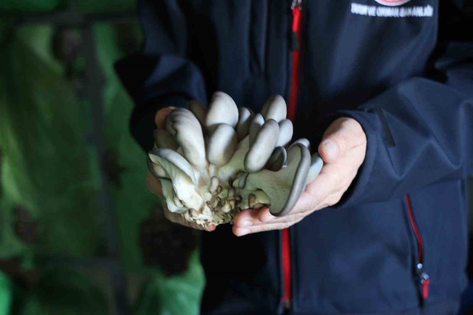 Bilecik’te Tarıma Yeni Nefes 7713