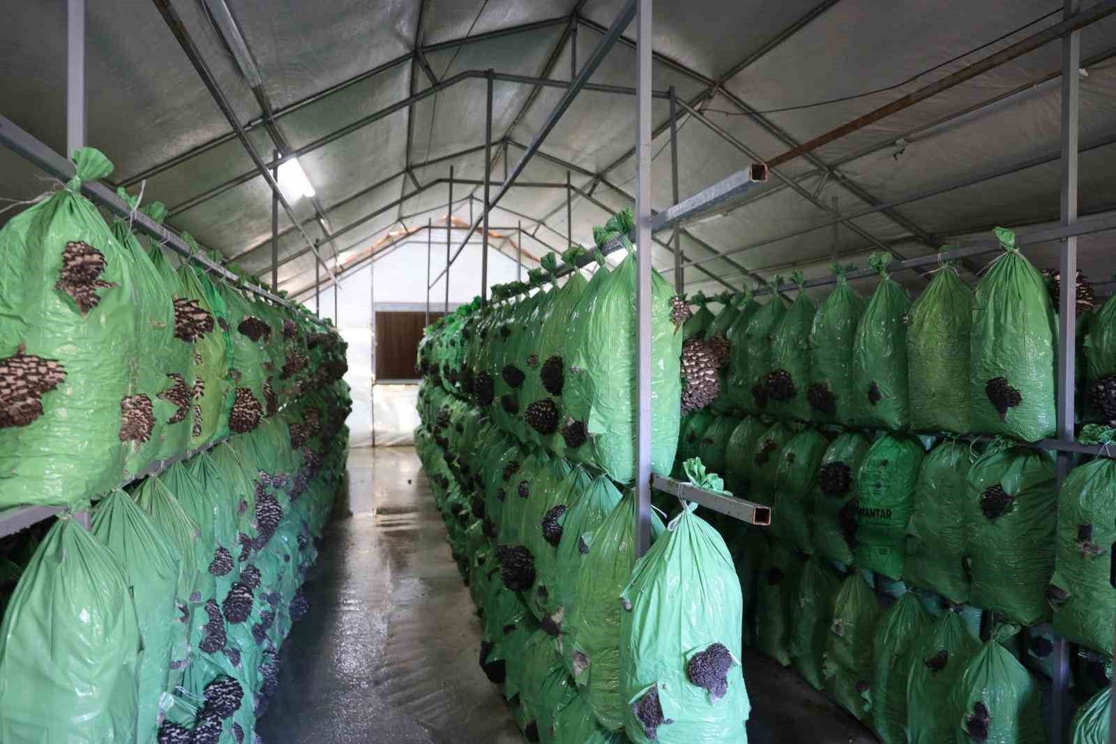 Bilecik’te Tarıma Yeni Nefes 7714