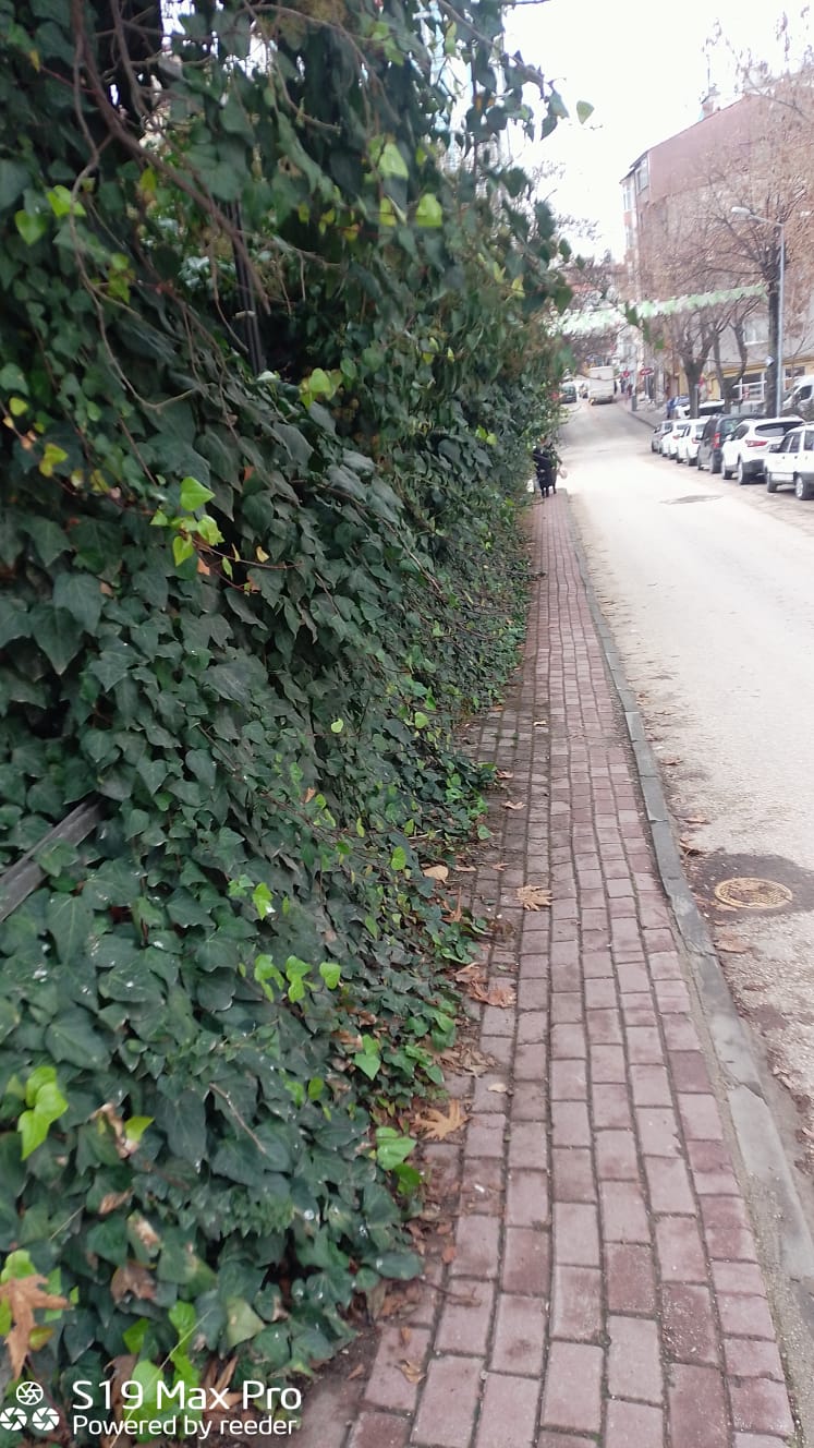 (Cumartesi̇) “Kaldırım Var Diyorlar… Ama Nerede ” 7321