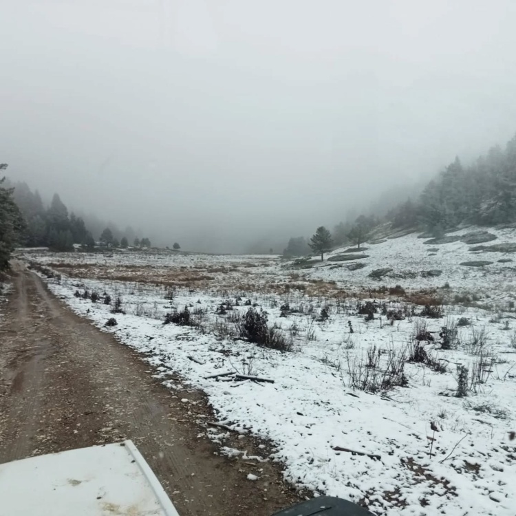 D O D U R G A 039 Y A Y I L I N I L K K A R I D U S T U 6620