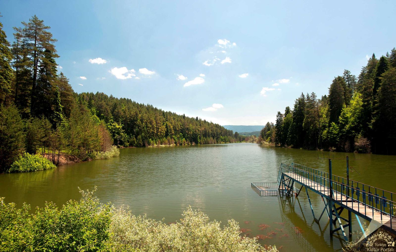 (Emi̇ne) Gelenek Ve Lezzetin Buluştuğu Ilçe 7304