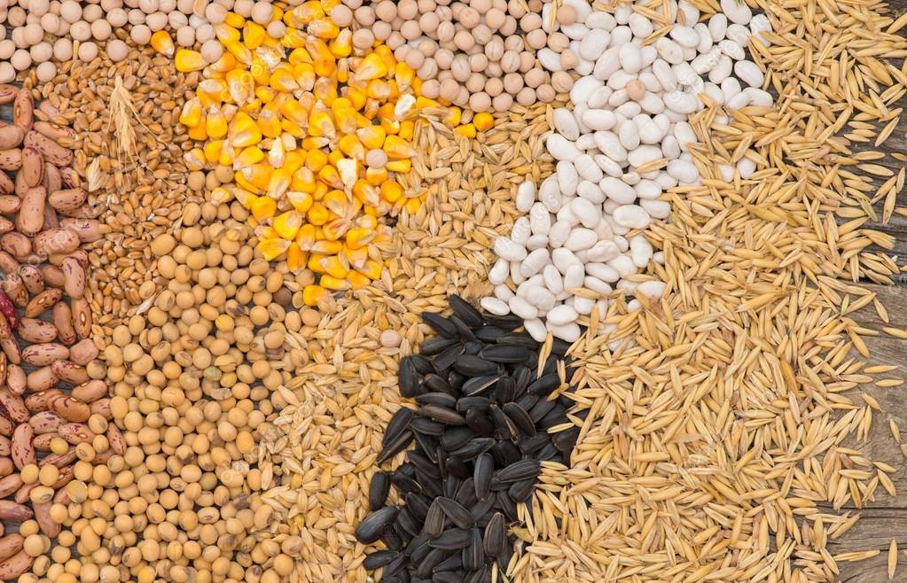 (Emi̇ne) Osmanelinin Ilk 11I 6844