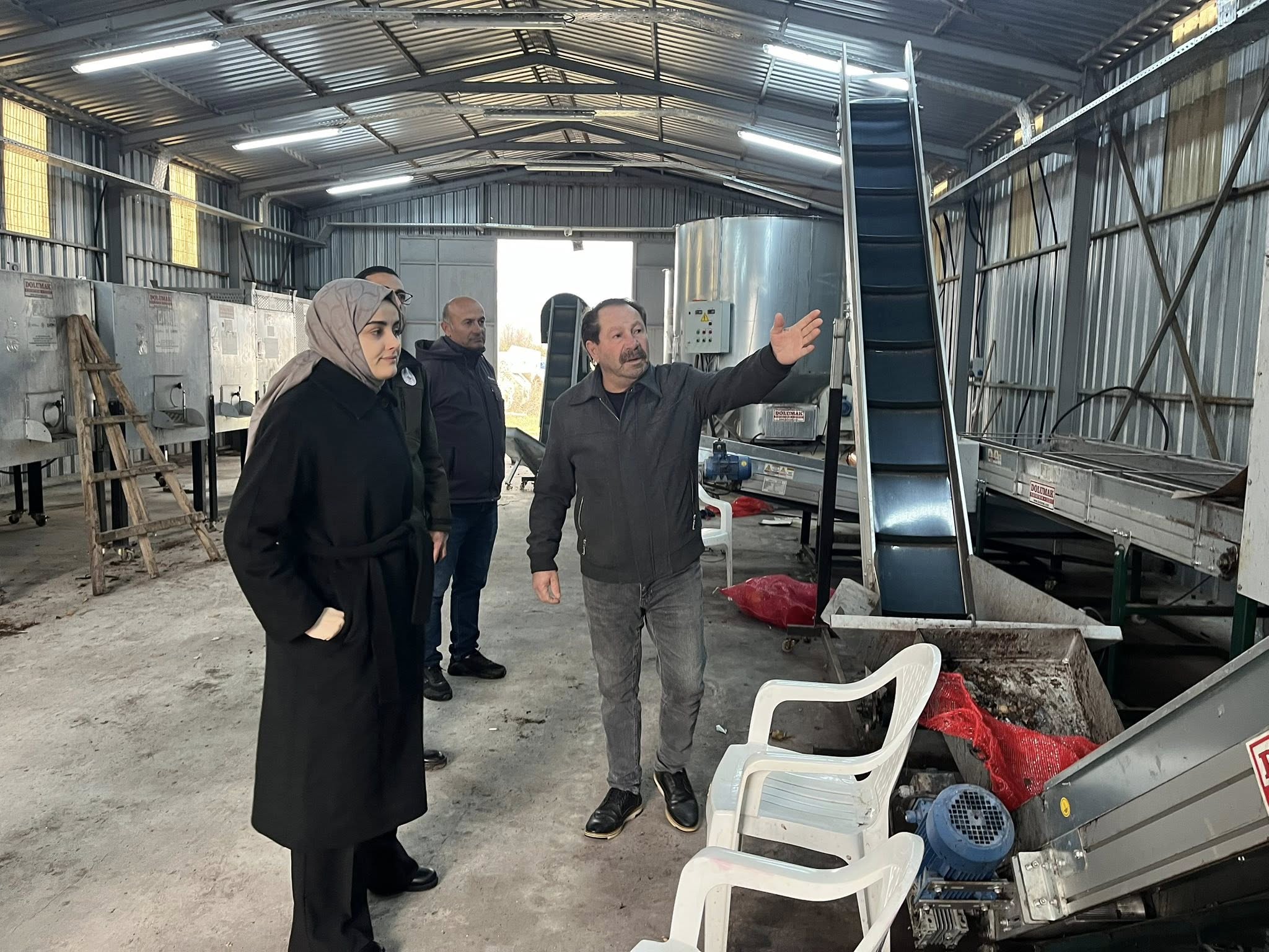 Gölpazarının Yeşil Altını 8136