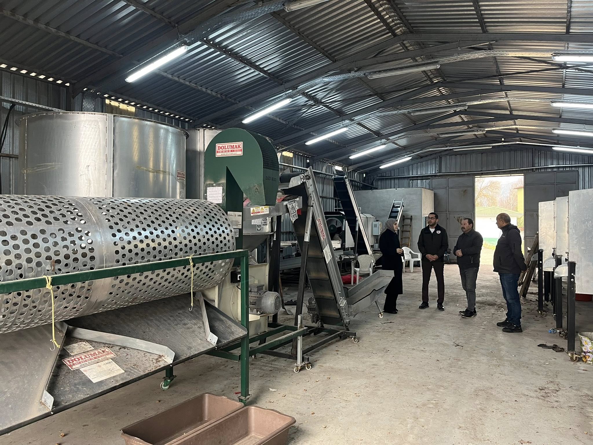 Gölpazarının Yeşil Altını 8137