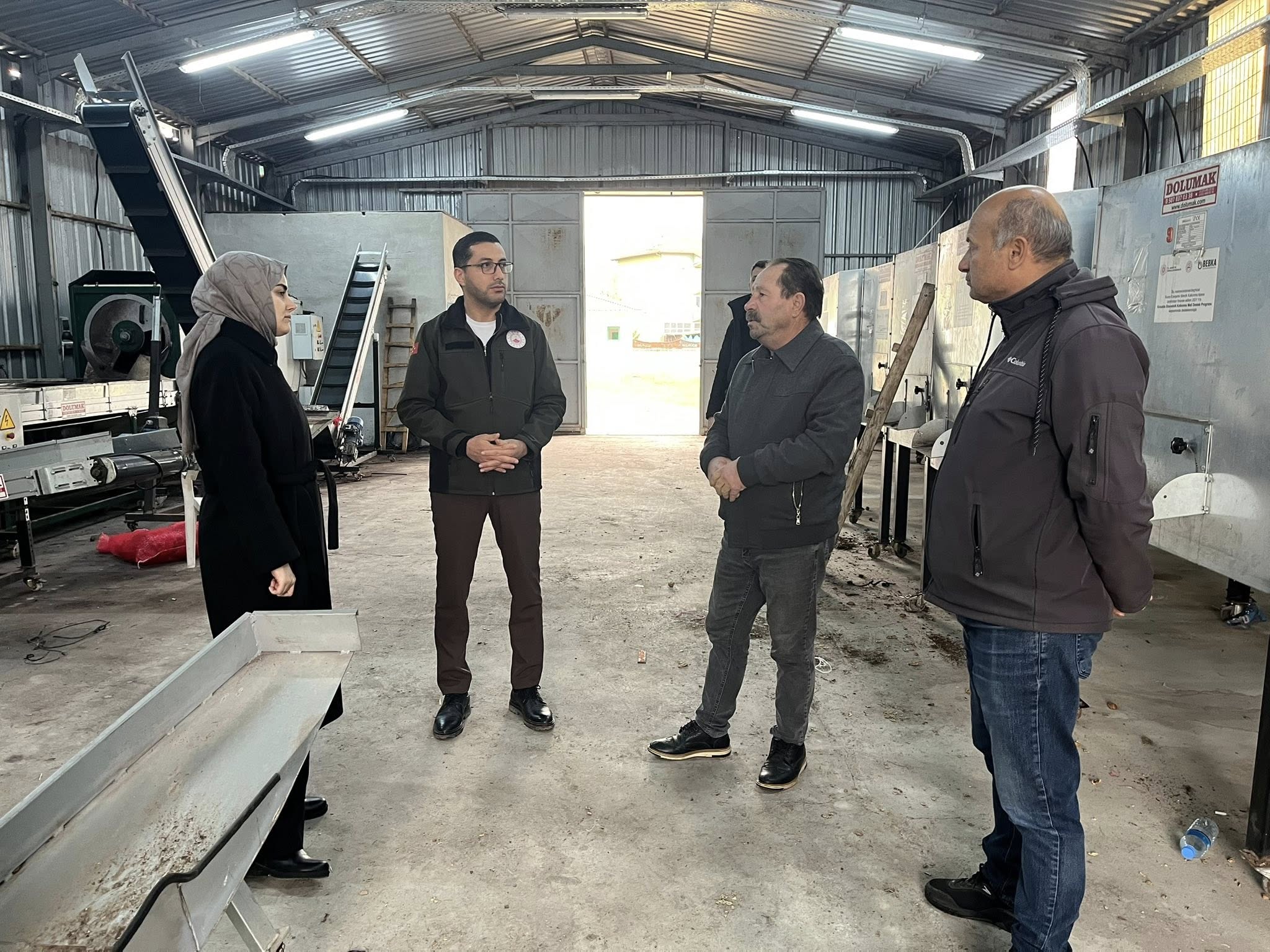 Gölpazarının Yeşil Altını 8138