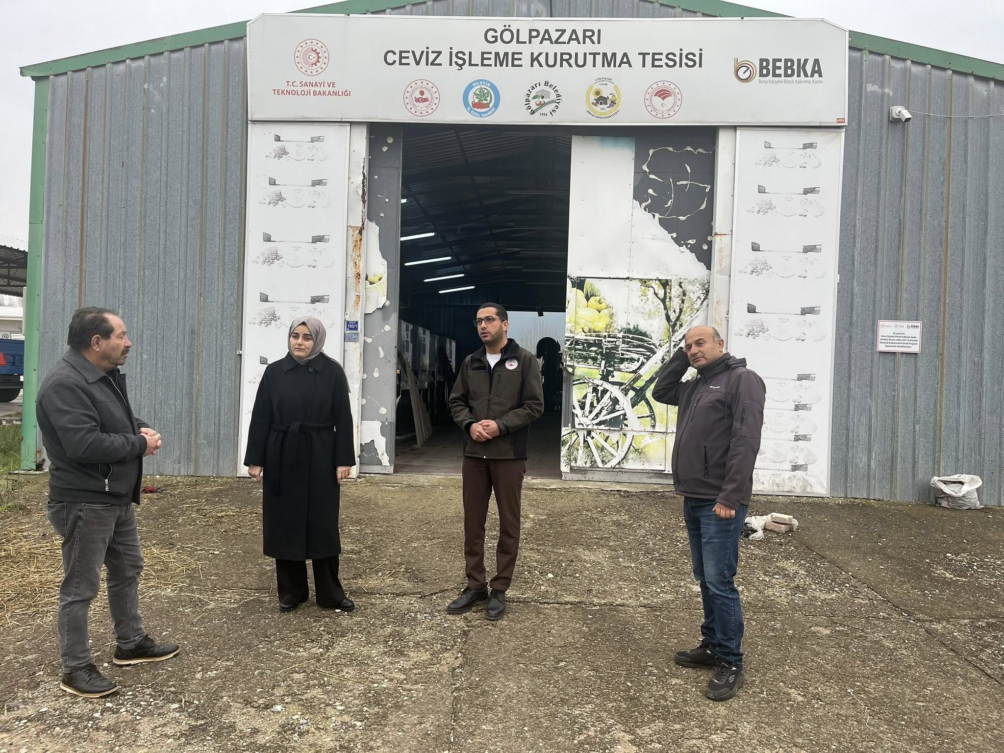 Gölpazarının Yeşil Altını 8139