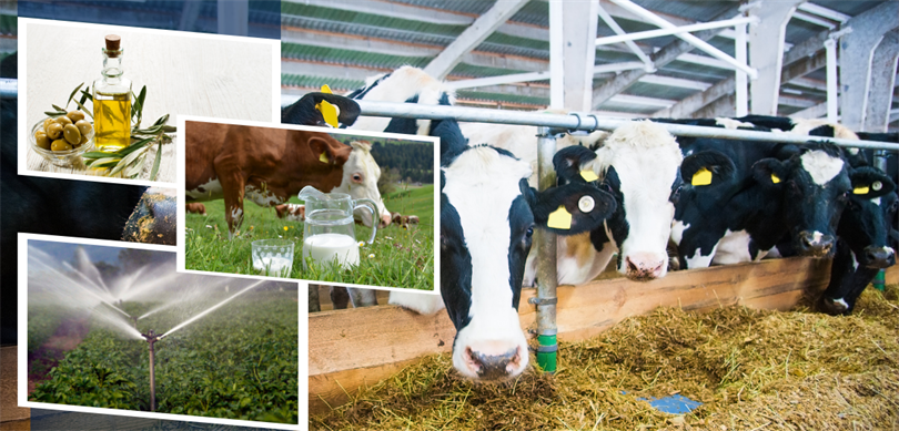 H E S A P L A R A A K T A R I L D I 7748