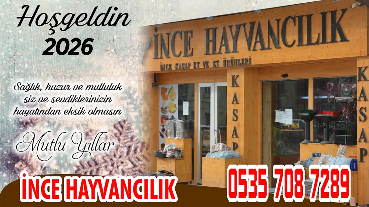 İnce Hayvancilik-1