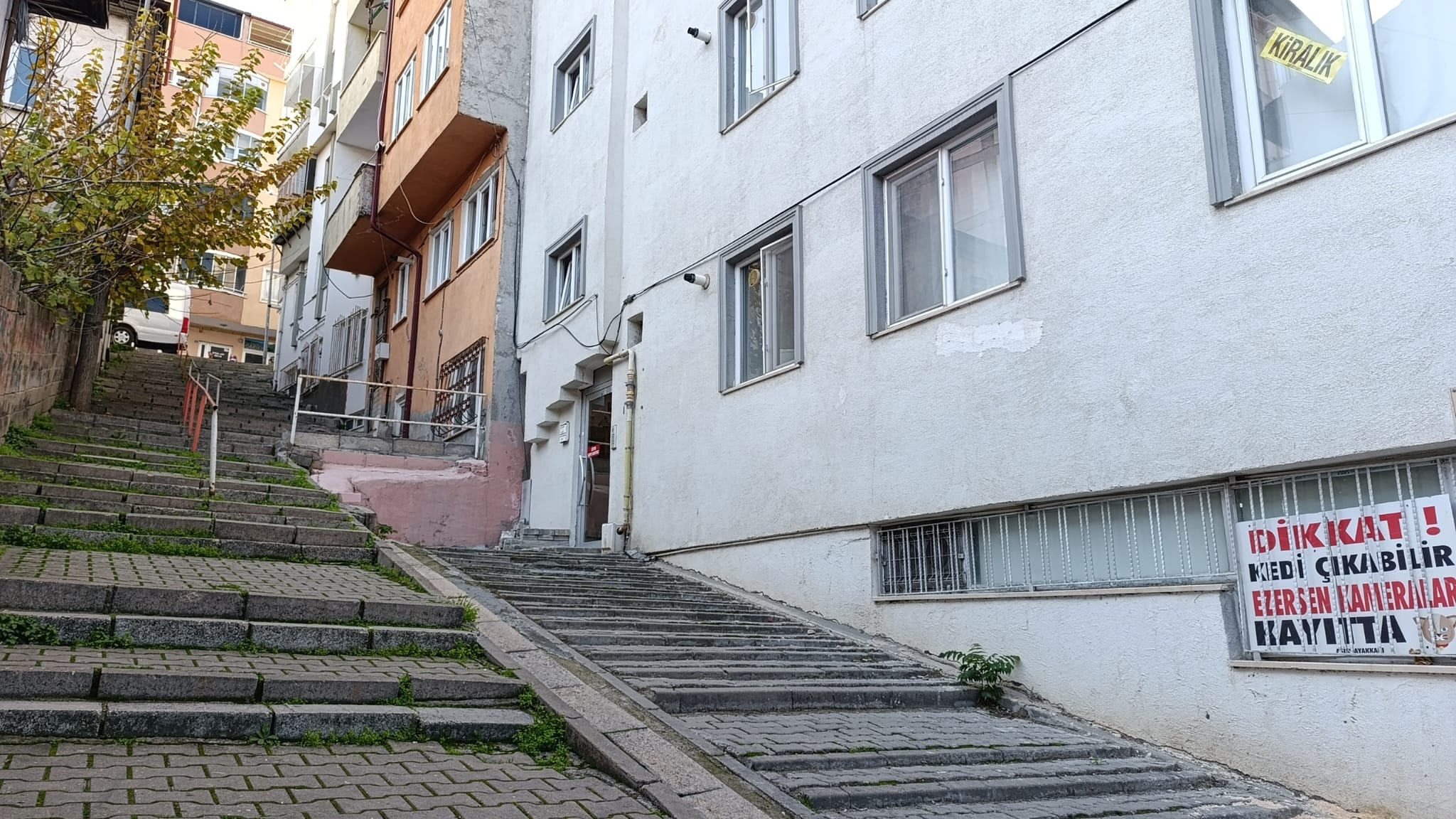 Kedi Çıkabilir, Ezersen Kameralar Kayıtta! 6683