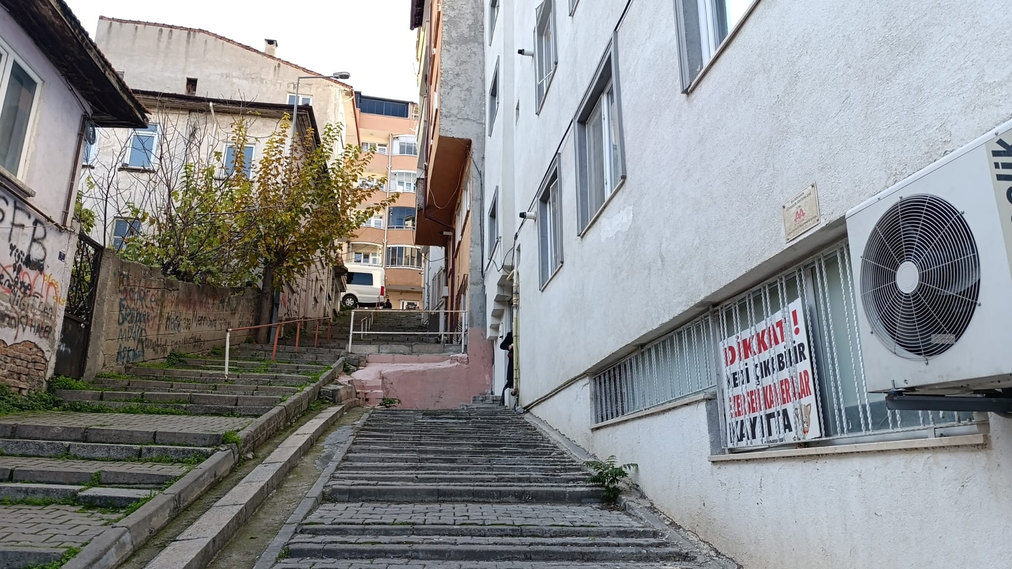 Kedi Çıkabilir, Ezersen Kameralar Kayıtta! 6684