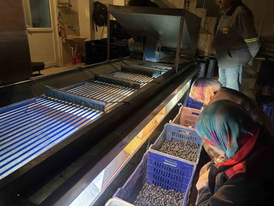 O R T A S A K A R Y A V A D I S I N D E K I M I K R O K L I M A E T K I S I N E S A H I P O S M A N E L I N D E Z E Y T I N L E R H A S A T S O N A E R D I 6721