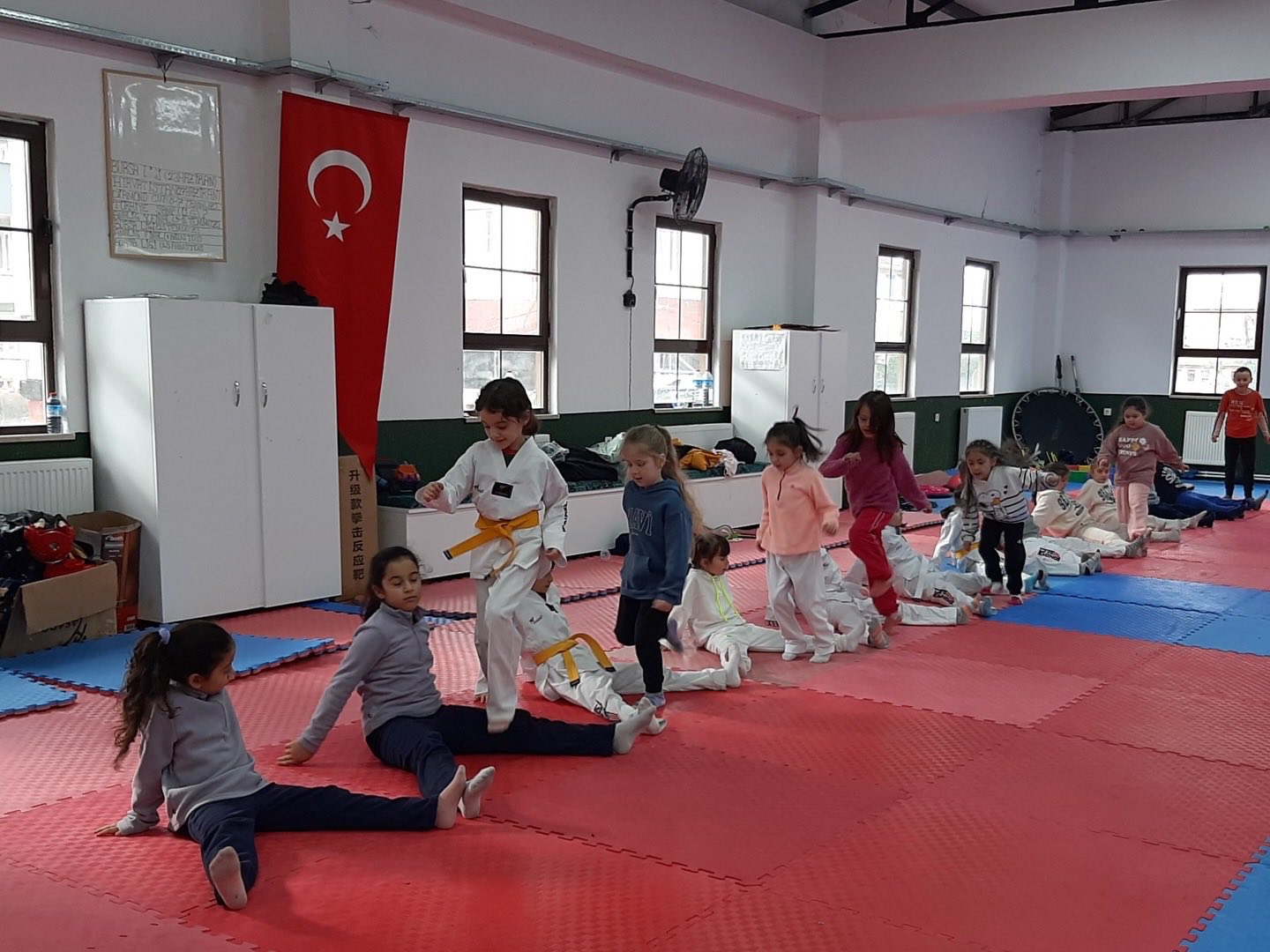 Osmaneli’nde Taekwondo Rüzgarı 6737