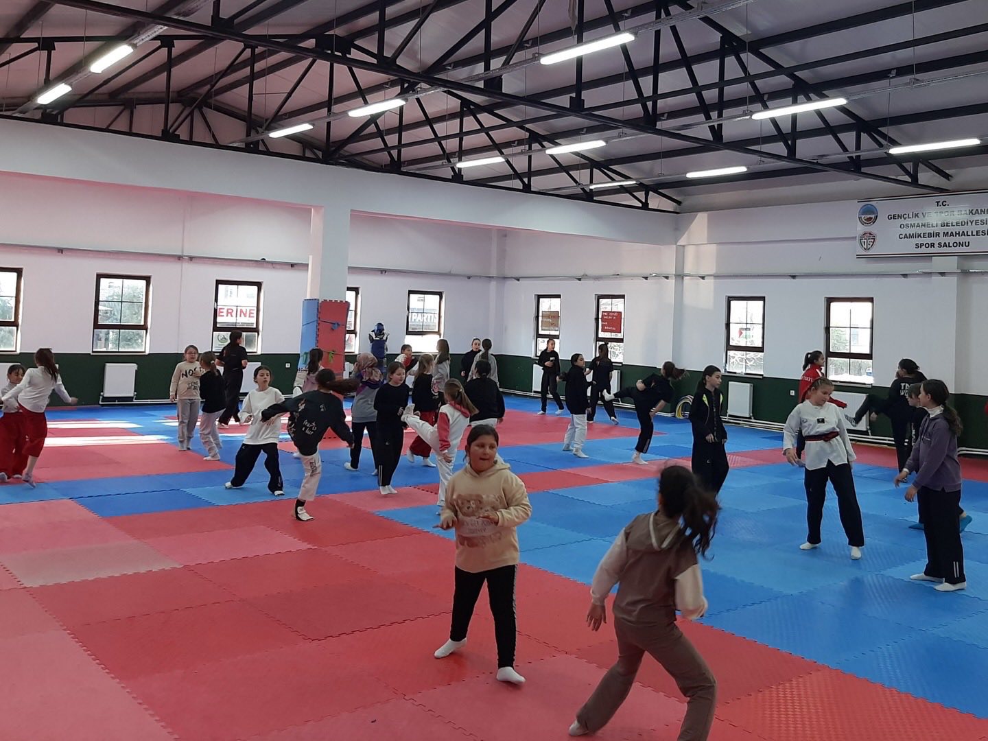 Osmaneli’nde Taekwondo Rüzgarı 6738