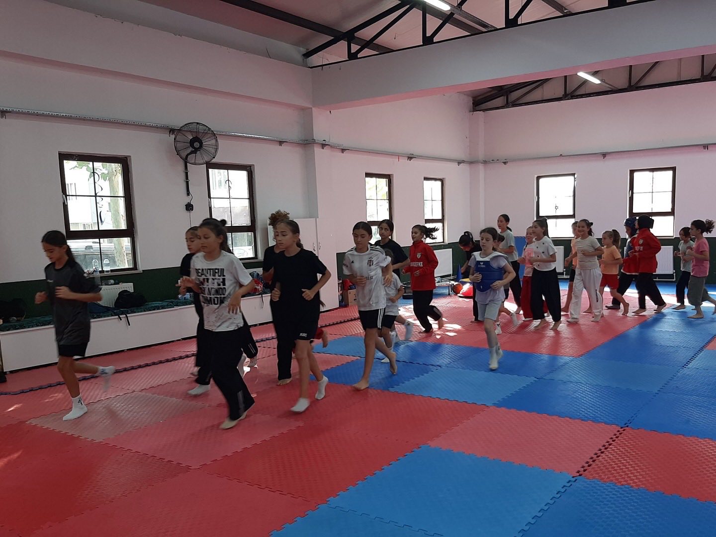 Osmaneli’nde Taekwondo Rüzgarı 6739