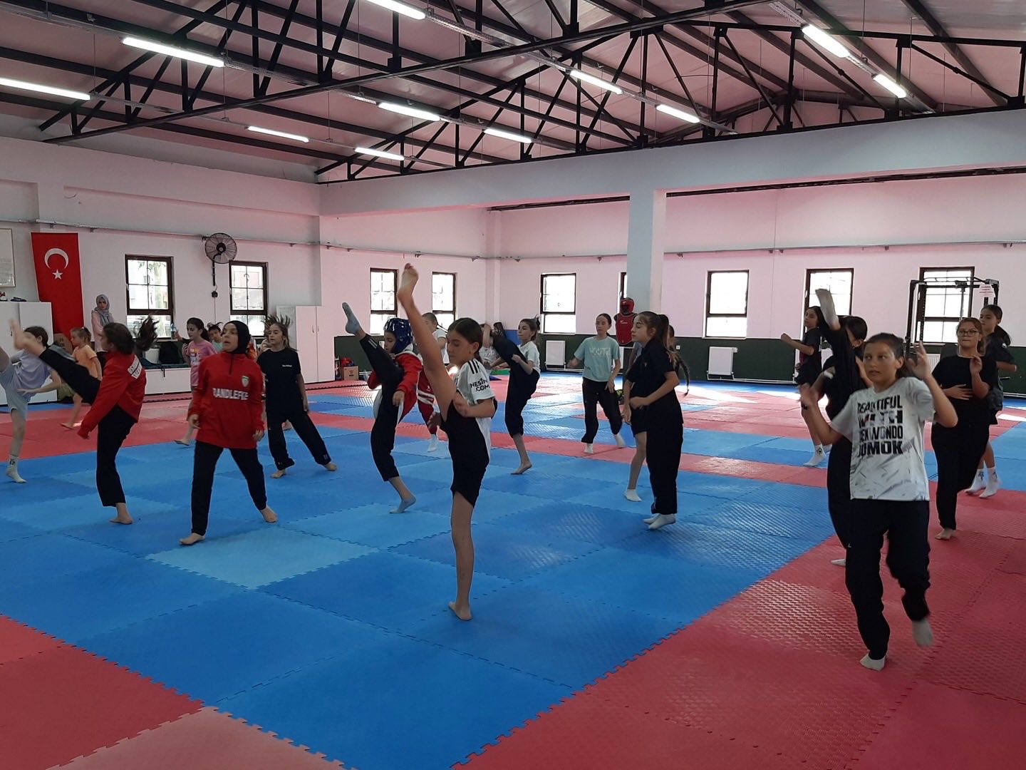 Osmaneli’nde Taekwondo Rüzgarı 6740