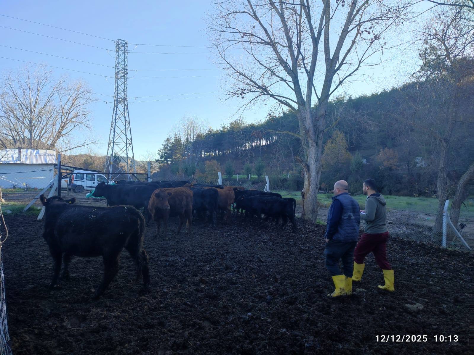 (Pazar) Kırsalda Bereket Artıyor 7297