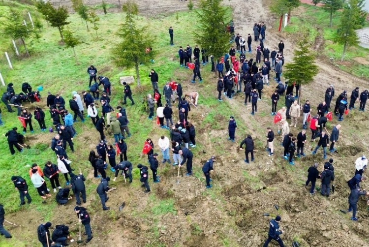 S E H I T L E R I M I Z I C I N H E R B I R F I D A N G E L E C E G I M I Z I C I N B I N N E F E S 7216