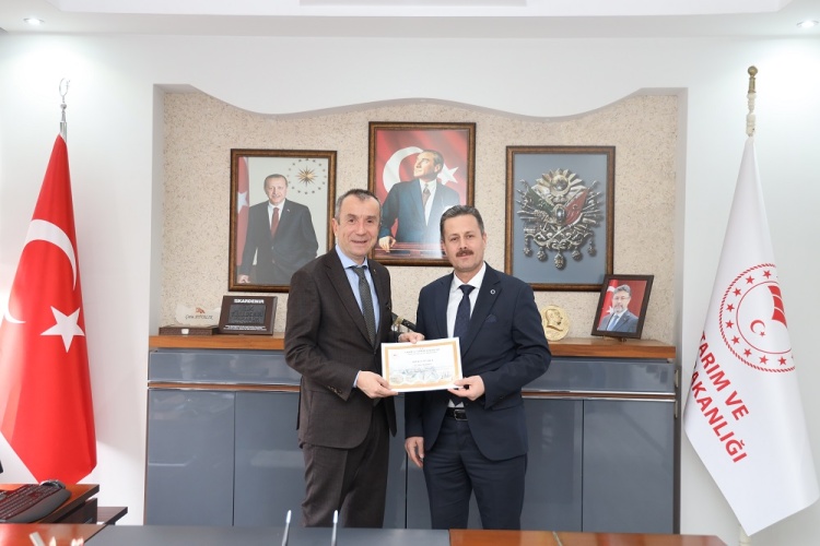 S E R T I F I K A L A R I Y L A S A H A Y A I N I Y O R L A R 8003