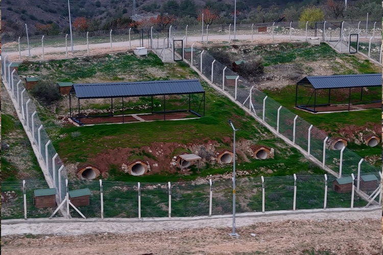 Söğüt Belediyesi’nden Yüreklere Dokunan Büyük Hizmet 7086