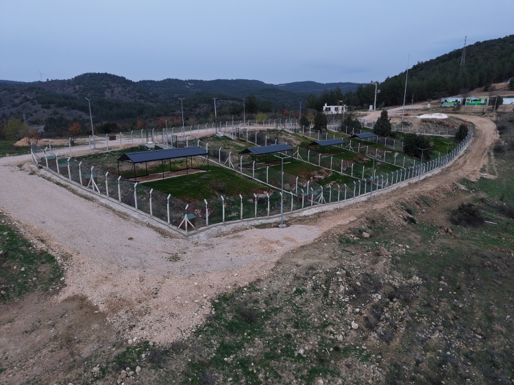 Söğüt Belediyesi’nden Yüreklere Dokunan Büyük Hizmet 7088