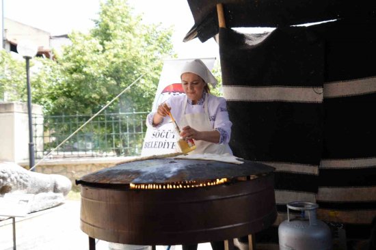 Y O G U R T L U G O Z L E M E C O G R A F I I S A R E T Y O L U N D A 7912