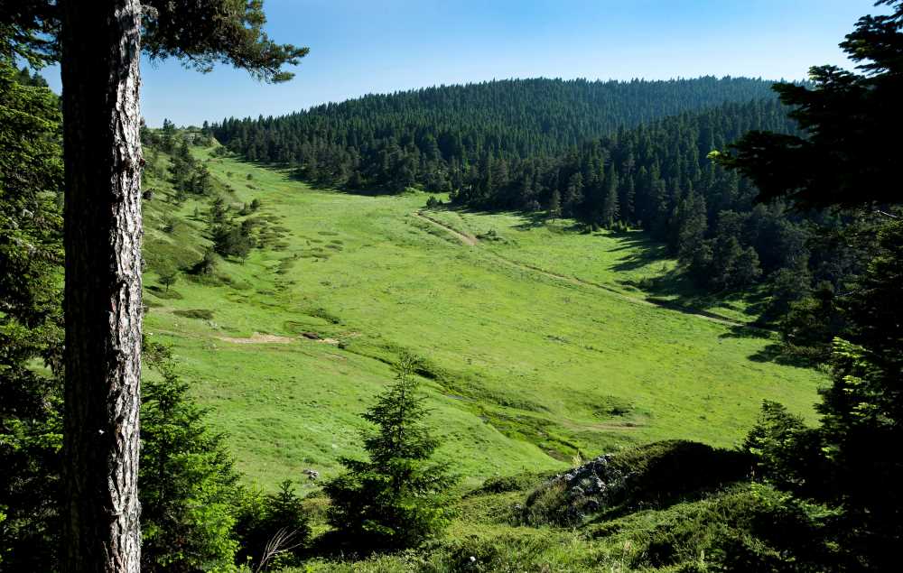 4Fd9Ab11 Ed98 46A5 8Ae1 1A6C5C8C0C38