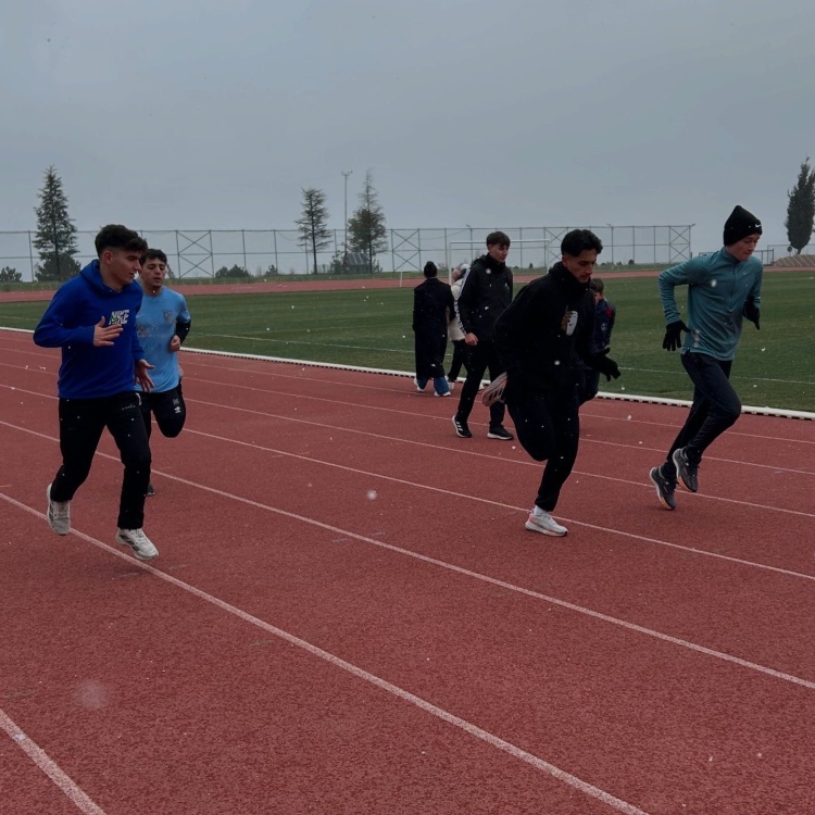 B I L E C I K I N G E N C A T L E T L E R I I D D I A L I G E L I Y O R 9375