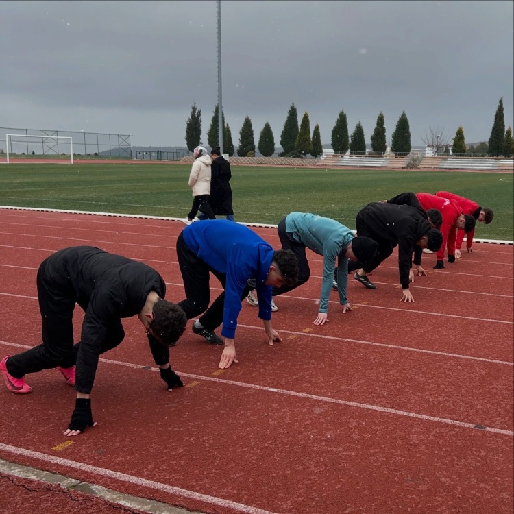 B I L E C I K I N G E N C A T L E T L E R I I D D I A L I G E L I Y O R 9376