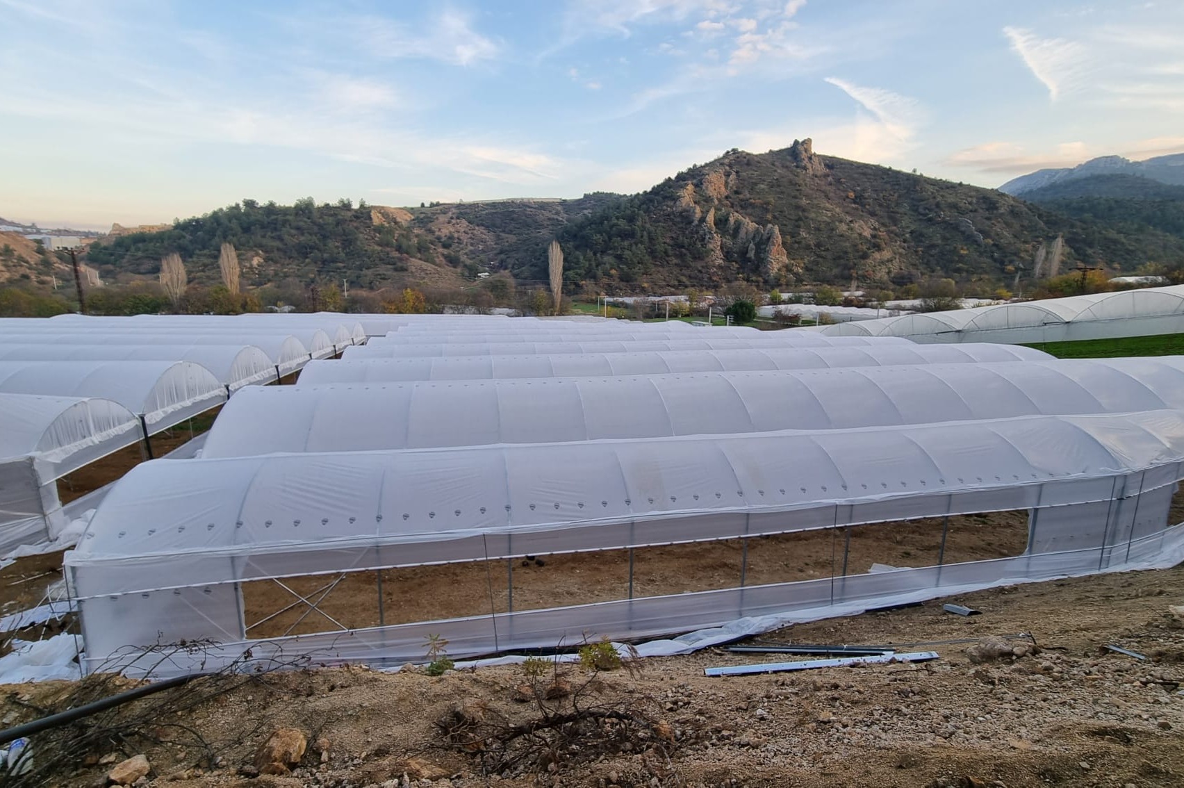 Bilecik’te Kırsal Kalkınmaya 72 Milyon Tl’lik Yatırım 8476