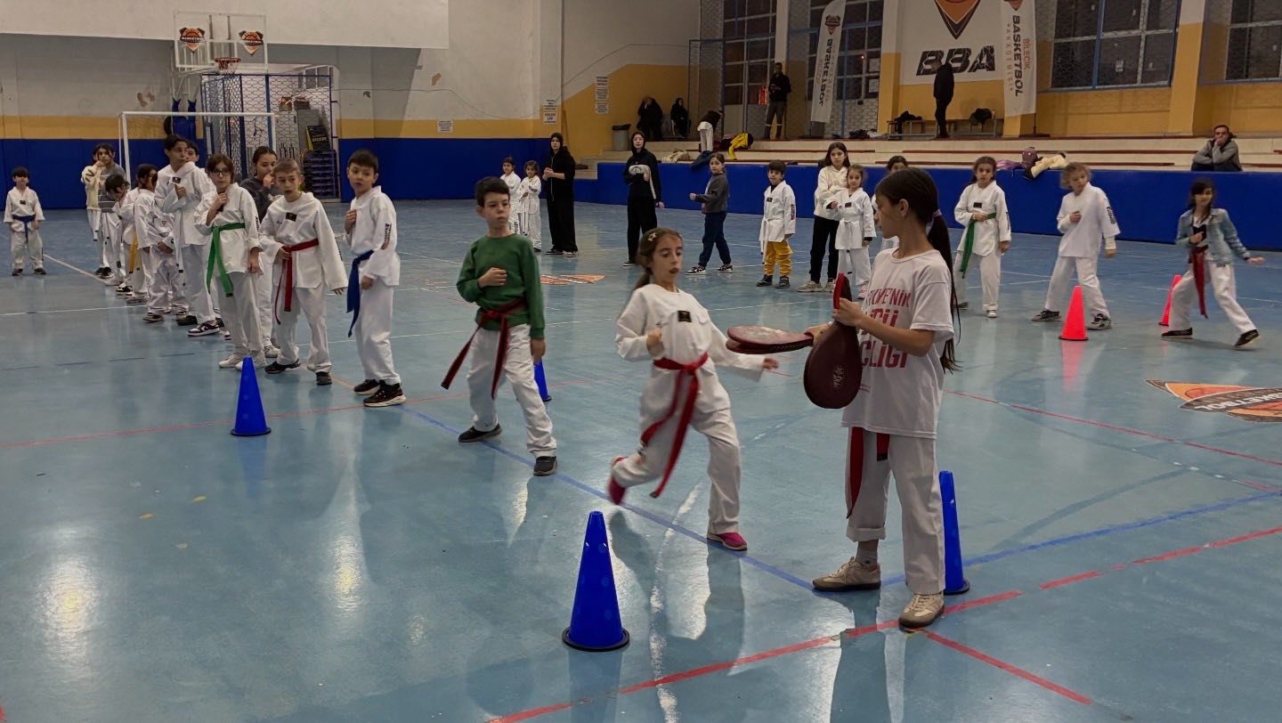 Bilecik’te Taekwondo Antrenmanlarına Yoğun İlgi 8773
