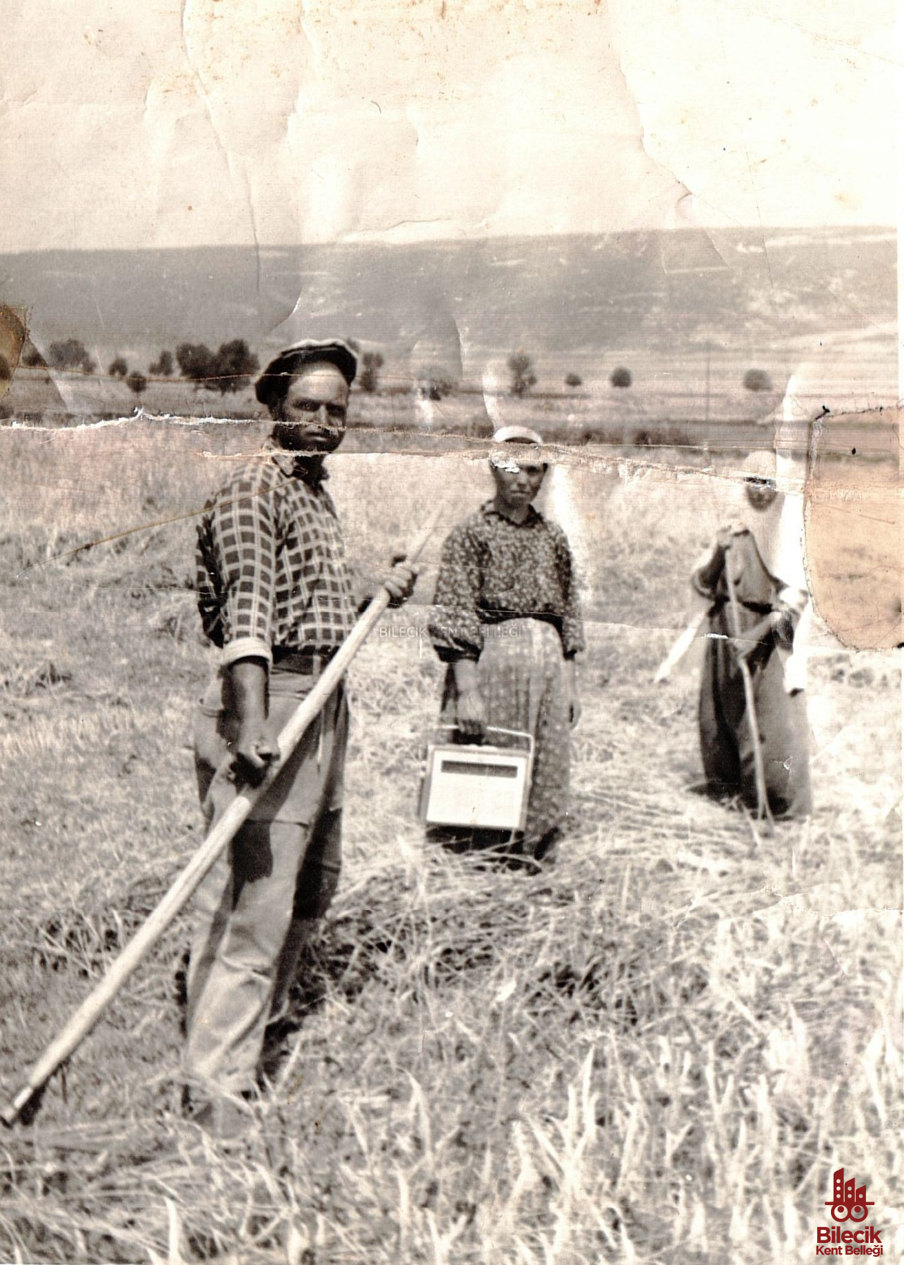 Bilecikte Tarlada Emek Ve Radyo 8572