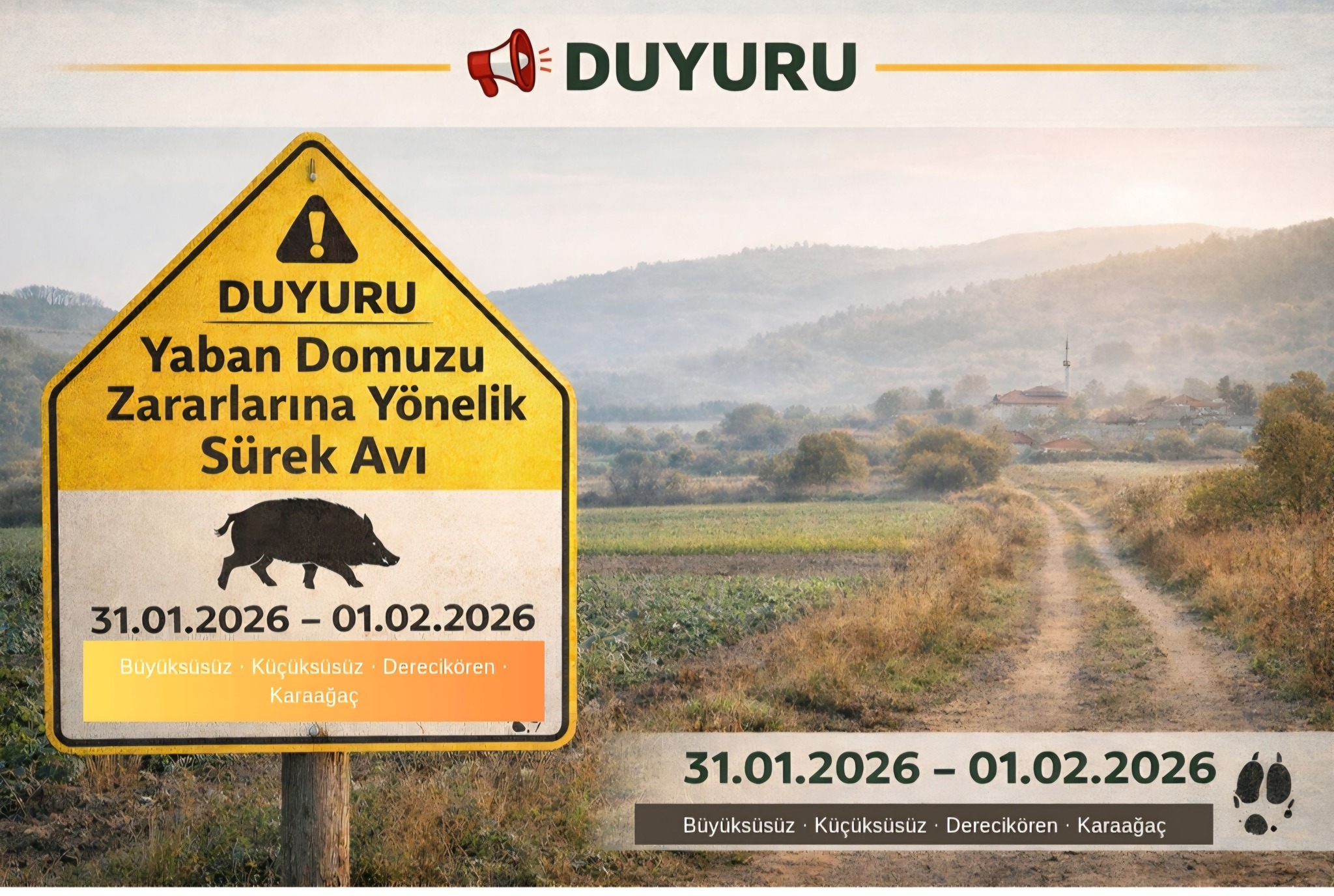 Bilecikte Yaban Domuzu Sürek Avı Düzenlenecek 9613