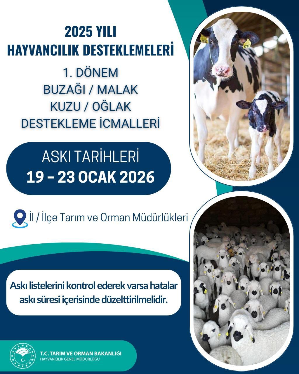 Buzağı, Malak, Kuzu Ve Oğlak Destekleme İcmalleri Askıya Çıkarıldı 9172