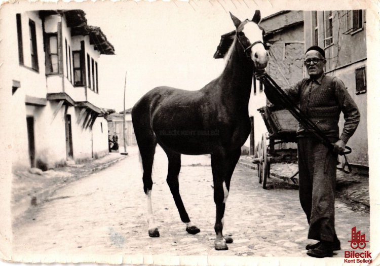 Çanakkale Gazisi Mustafa Esentürk’ten Yenişehir’de At Yetiştiriciliği 9278
