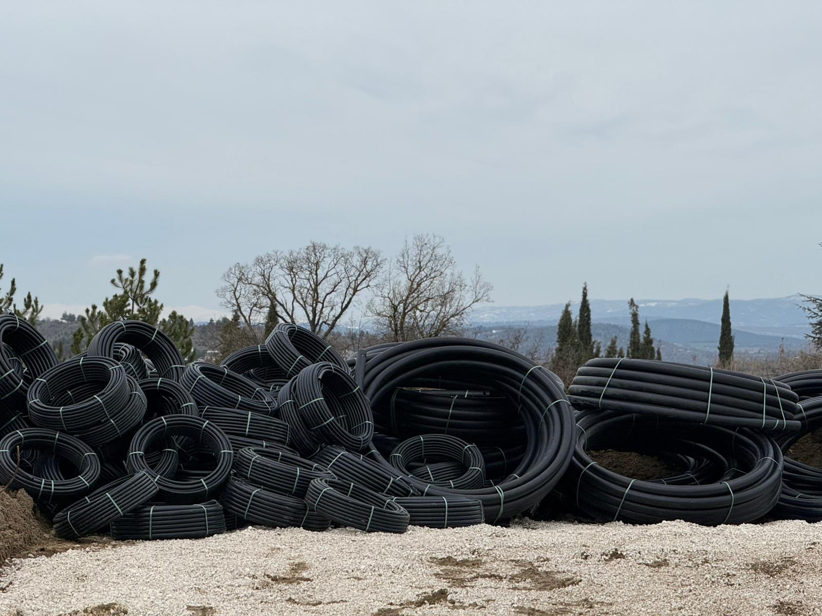 Söğütte Güzel Şeyler Oluyor 9232
