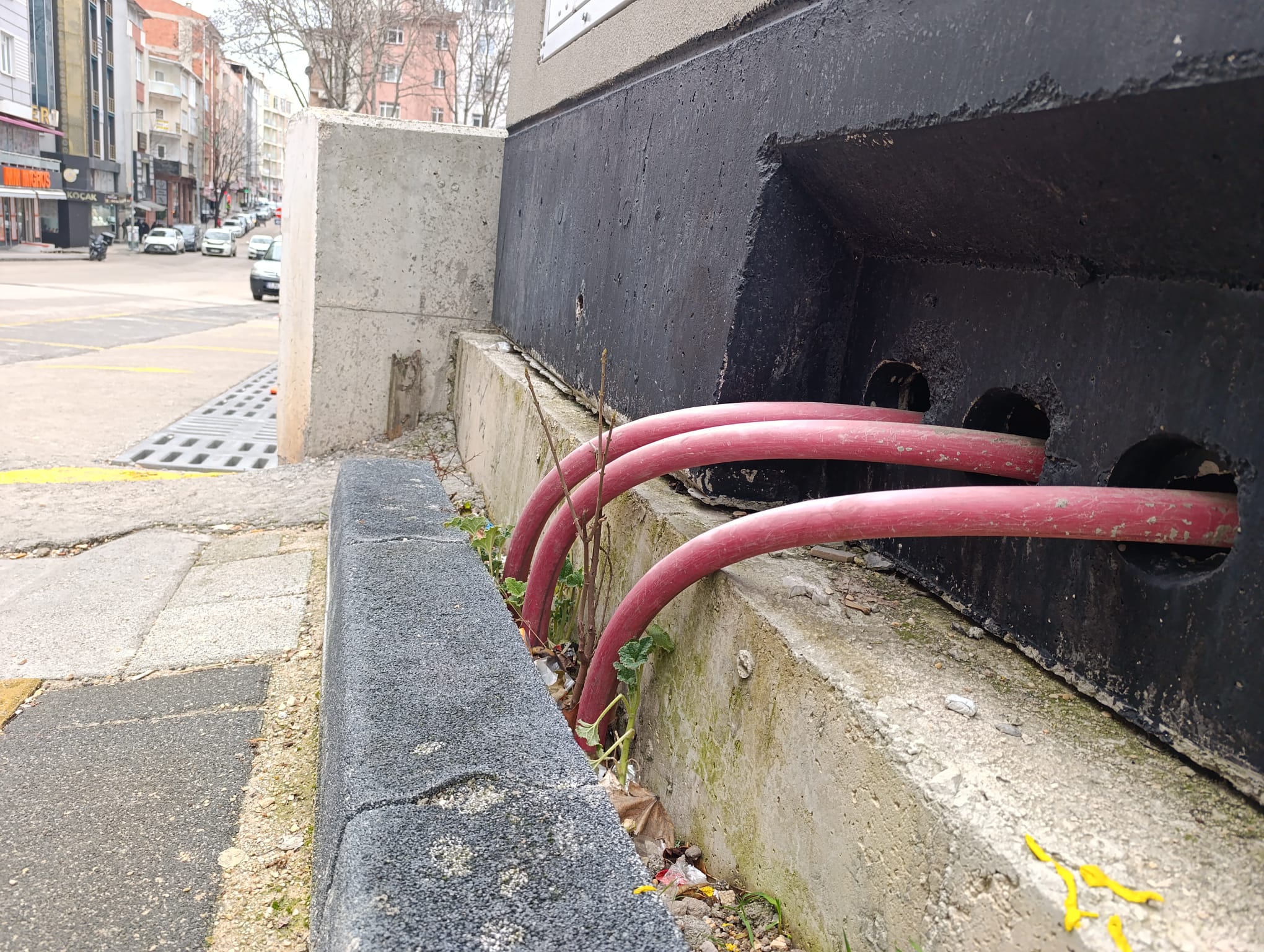 B I L E C I K T E 34 B I N 500 V O L T L U K T E H L I K E 9960