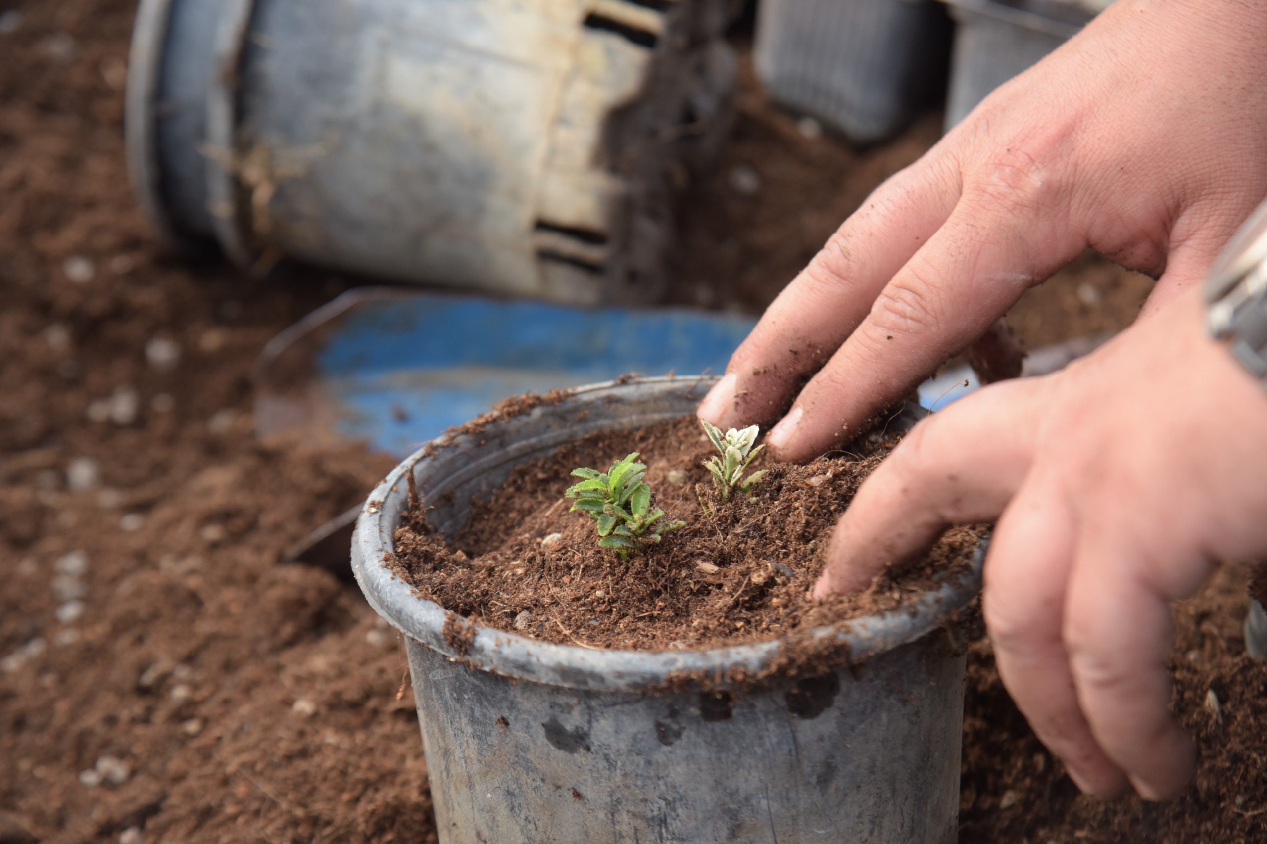 Bilecikte Bahara Hazırlık Başladı 10122