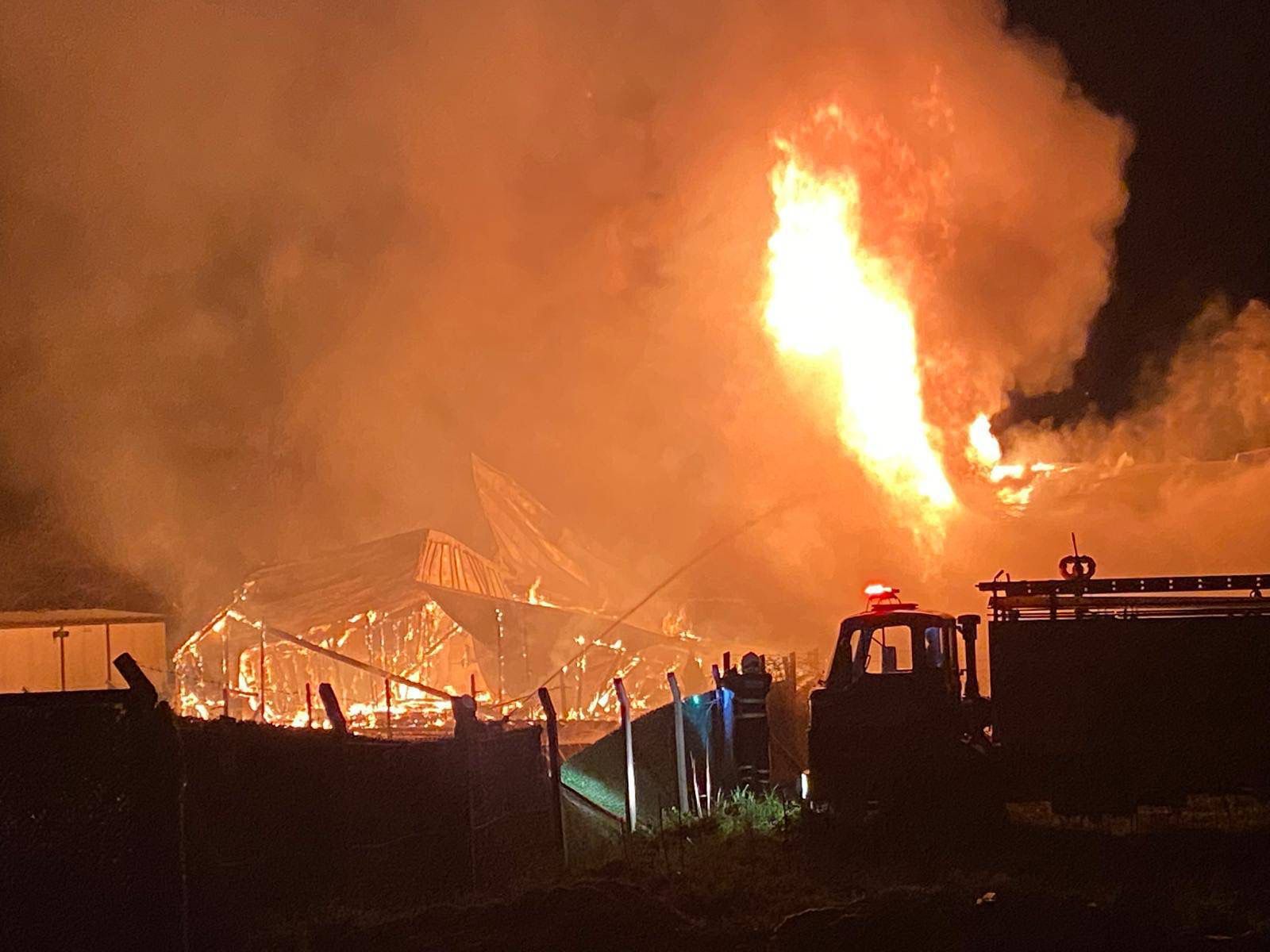 Bilecik’te Gece Yarısı Alevler 11134