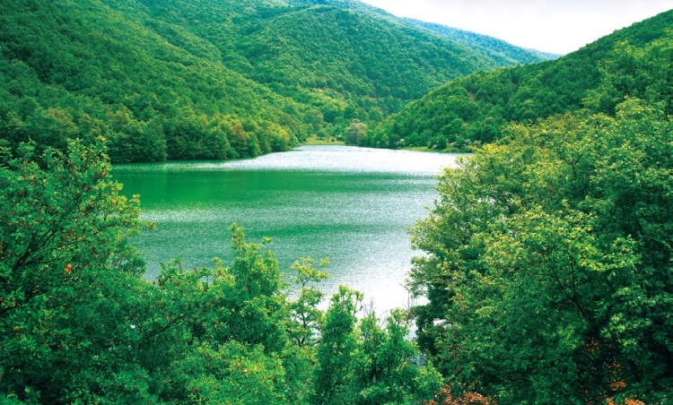 Çam Ve Meşelerin Dingin Kucağı 9526